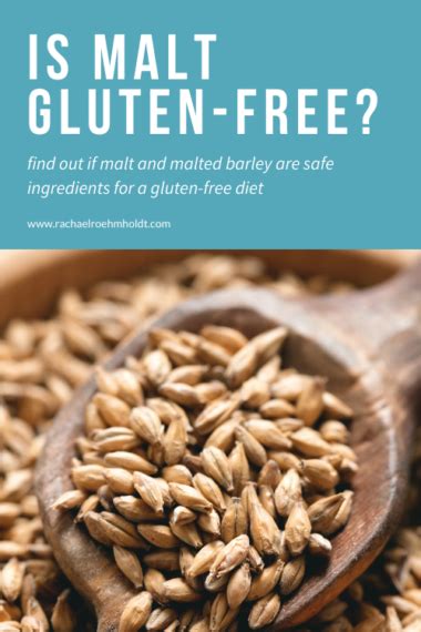 is malt gluten